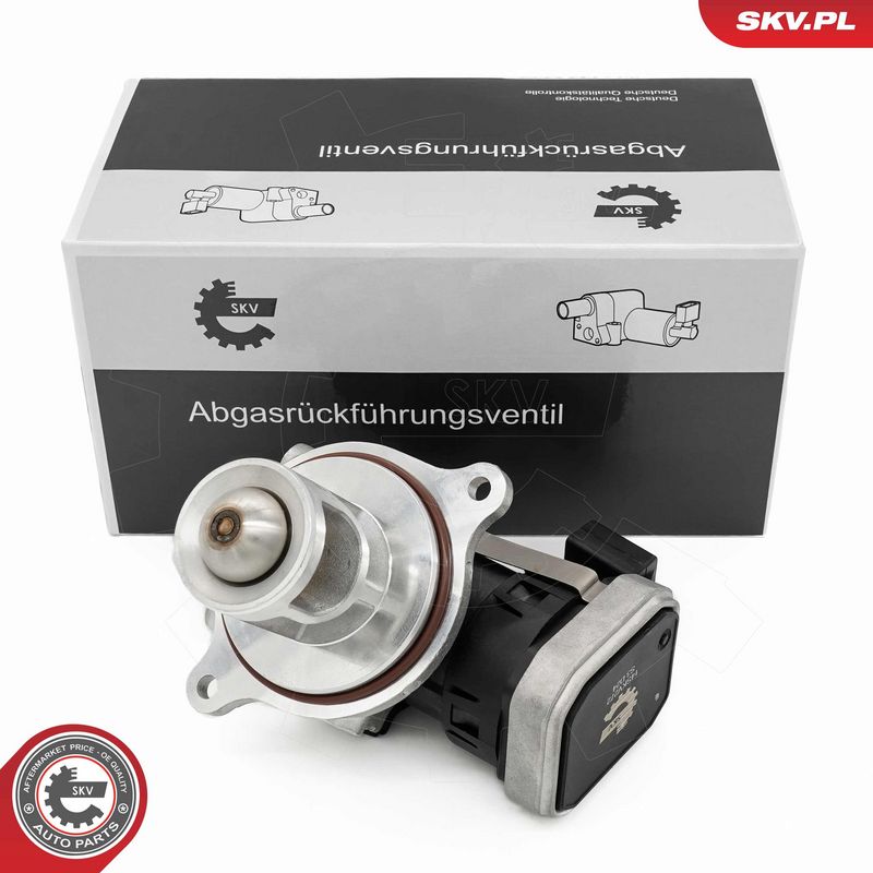EGR-klapp, ESEN SKV 14SKV272