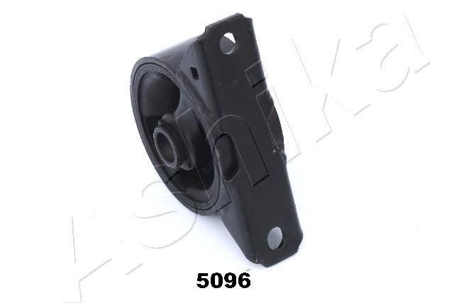 GOM-5096_2.JPG