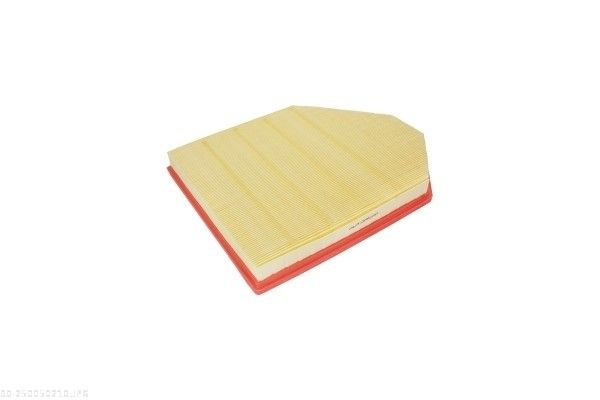 AUTOMEGA 250050210 Air Filter
