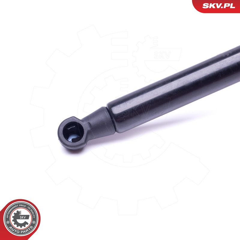 Gaasivedru, pagasi-, veoruum, ESEN SKV 52SKV460