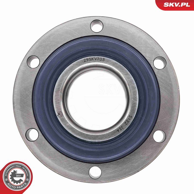 ESEN SKV 29SKV703 Wheel Bearing Kit