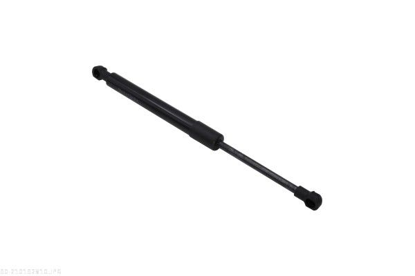 AUTOMEGA 210192810 Gas Spring, bonnet