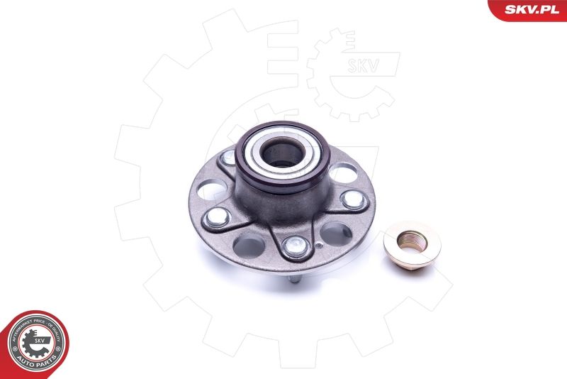 ESEN SKV 29SKV218 Wheel Bearing Kit