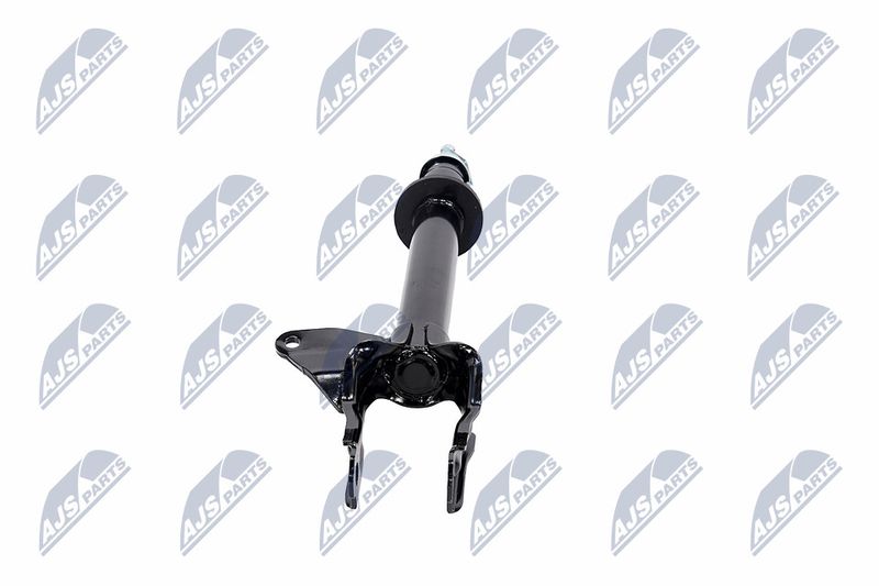 Amort, NTY A-CH-081