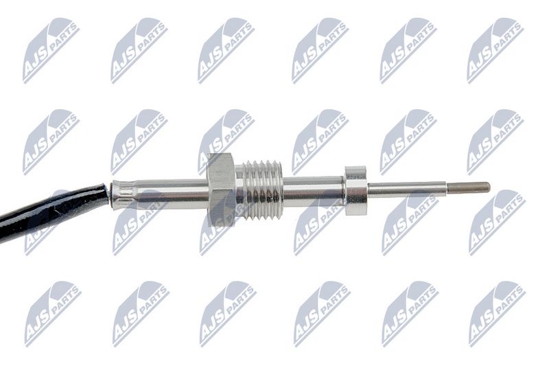 egt-vw-079_2-wm.JPG