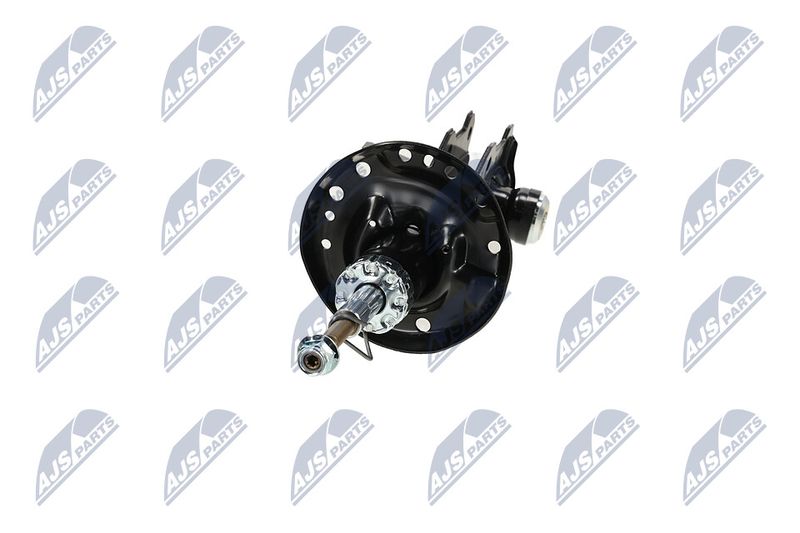 Amort, NTY A-PL-062