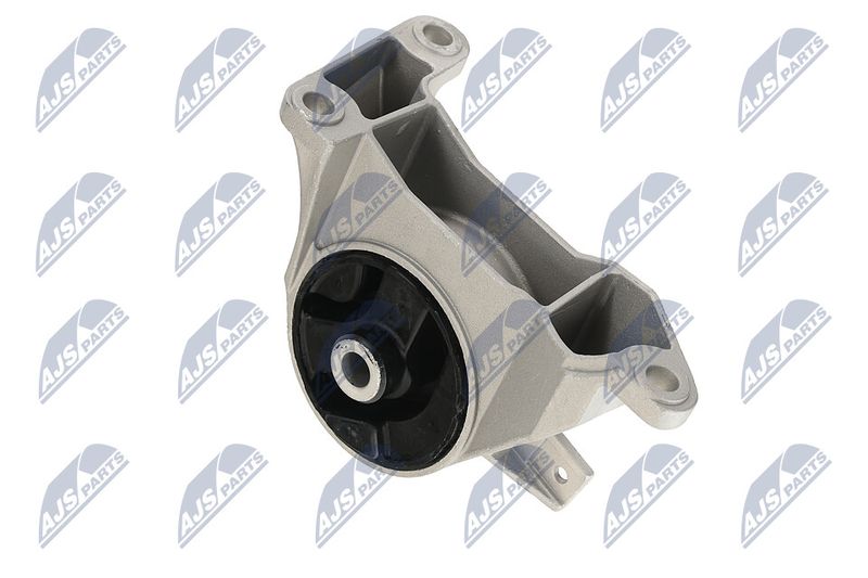 Paigutus, Mootor, NTY ZPS-PL-039