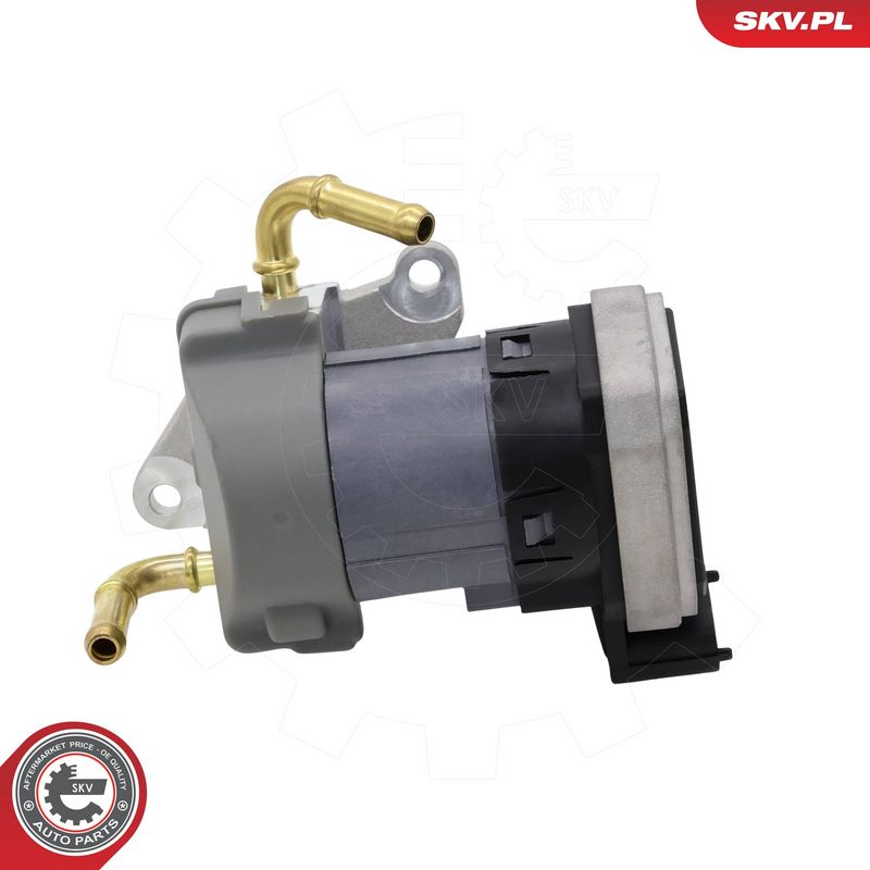 EGR-klapp, ESEN SKV 14SKV303