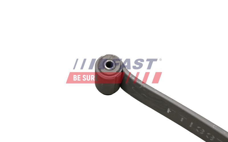 FAST FT13378 Spring Leaf