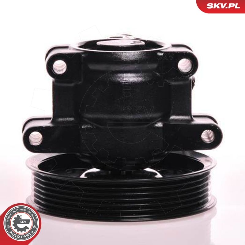 Hüdraulikapump, roolimine, ESEN SKV 10SKV019