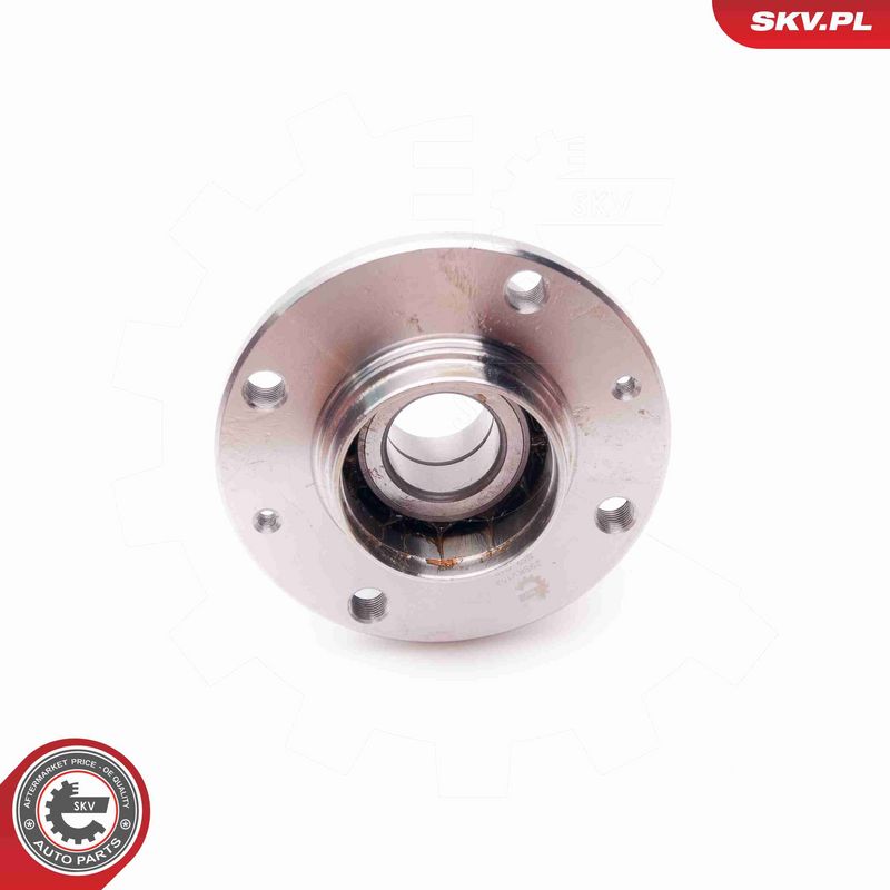 ESEN SKV 29SKV153 Wheel Bearing Kit