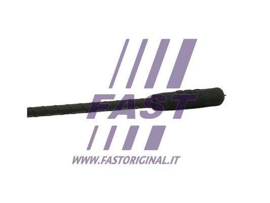 FT92504_3_1.JPG