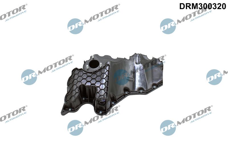 Dr.Motor Automotive Alyvos karteris