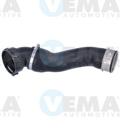VE55831.JPG