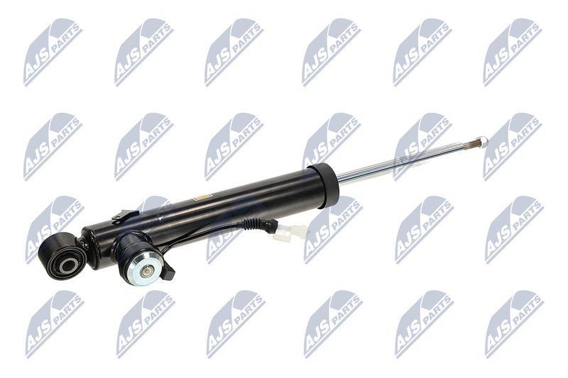 Amort, NTY A-PL-065