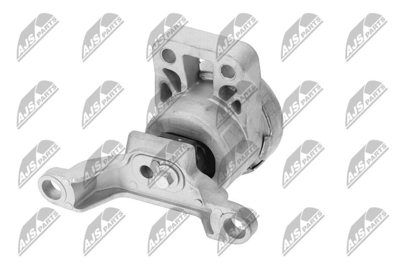 Paigutus, Mootor, NTY ZPS-FR-033