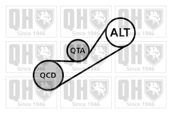 Комплект поліклинових ременів, Quinton Hazell QDK86