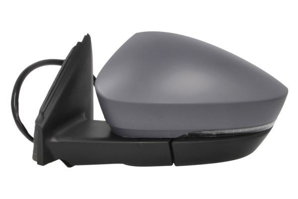 BLIC 5402-43-1926318P Exterior Mirror