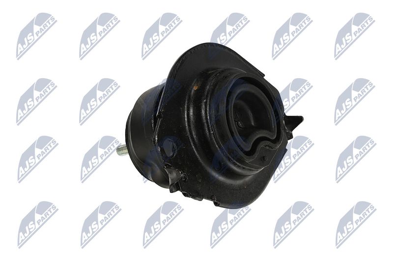 Paigutus, Mootor, NTY ZPS-CH-076