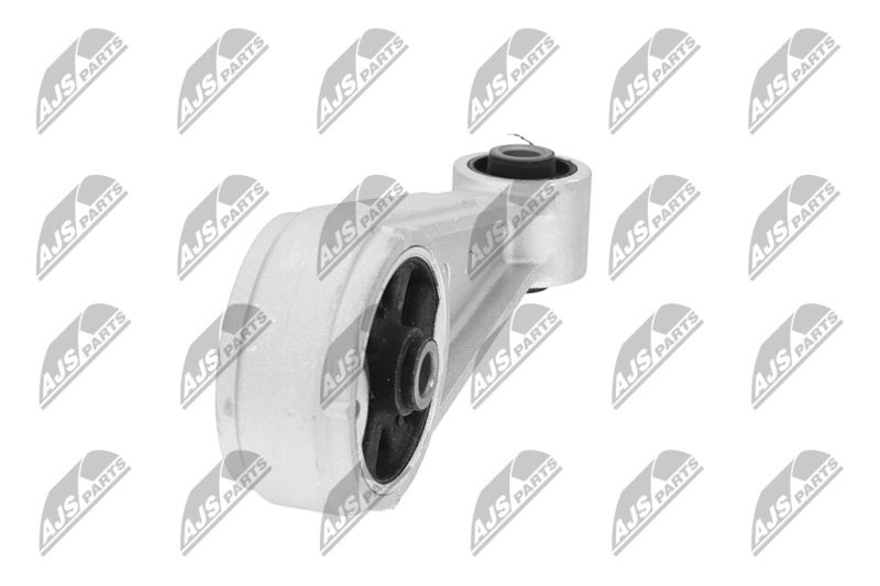 Paigutus, Mootor, NTY ZPS-DW-003