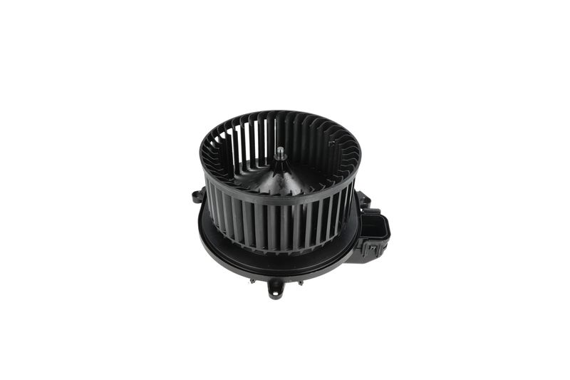 Salongipuhur, NRF 34236