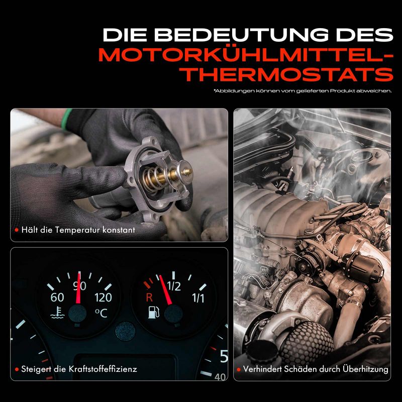 Frankberg 5481FB0053209 Termostatas