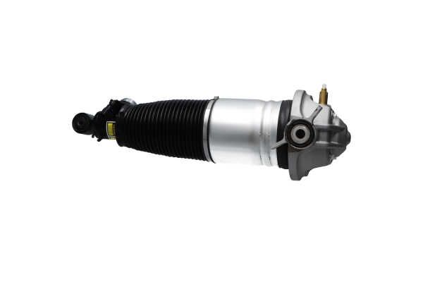 Kavo Parts SAS-10043 Air Suspension Strut