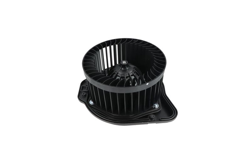 Salongipuhur, NRF 34136