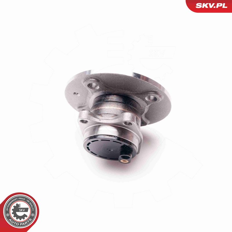 ESEN SKV 29SKV167 Wheel Bearing Kit