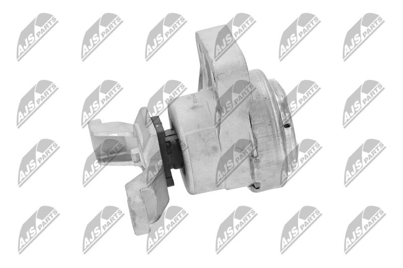 Paigutus, Mootor, NTY ZPS-FR-033