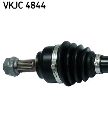 VKJC 4844_2.JPG