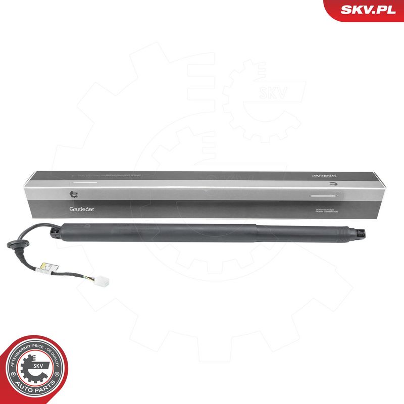 Elektrimootor, tagaluuk, ESEN SKV 52SKV233