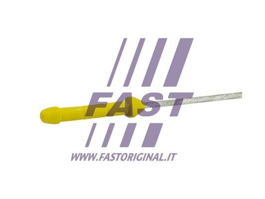 FT80335_2_1.JPG