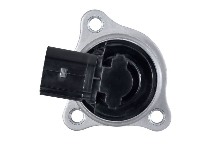 EGR-klapp, HELLA 6NU 010 171-551