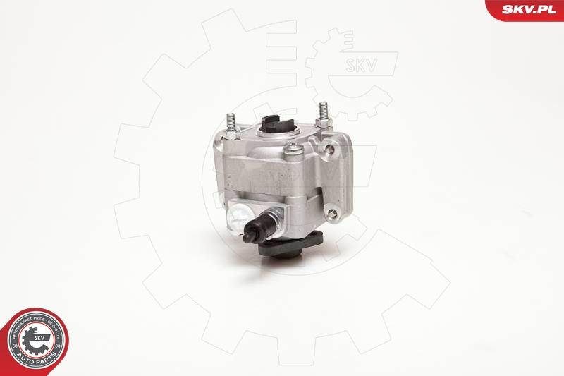 ESEN SKV 10SKV109 Hydraulic Pump, steering