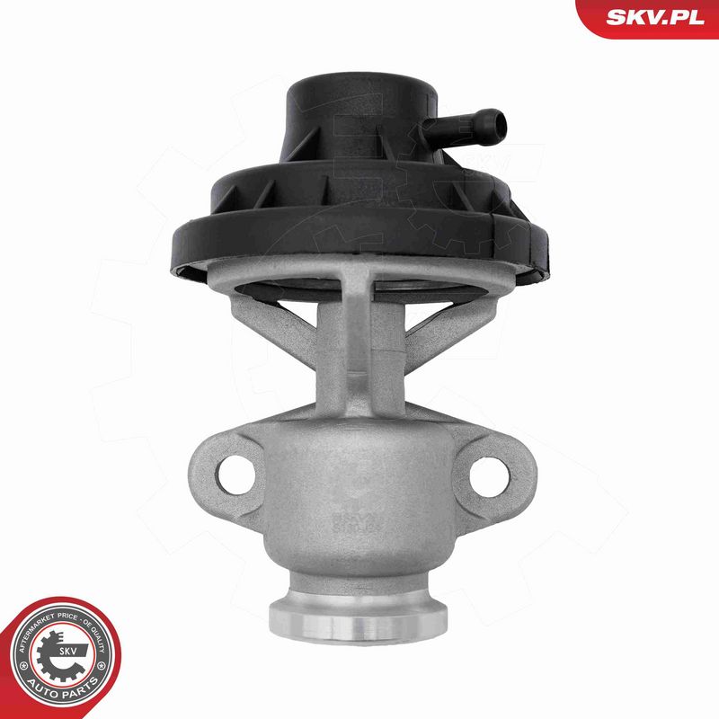 ESEN SKV 14SKV291 EGR Valve