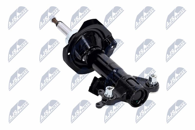 Amort, NTY A-NS-015