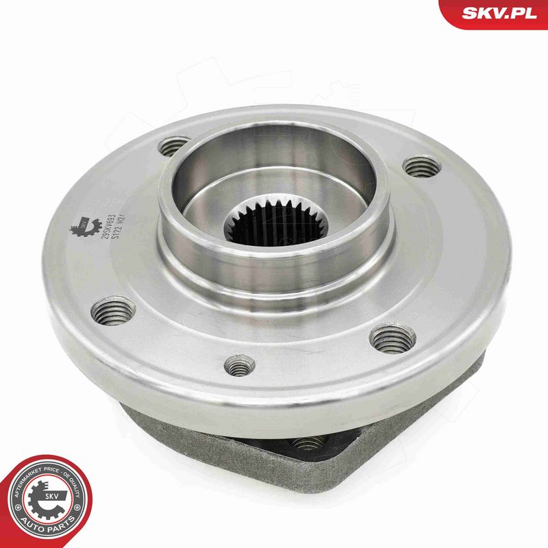 ESEN SKV 29SKV693 Wheel Bearing Kit