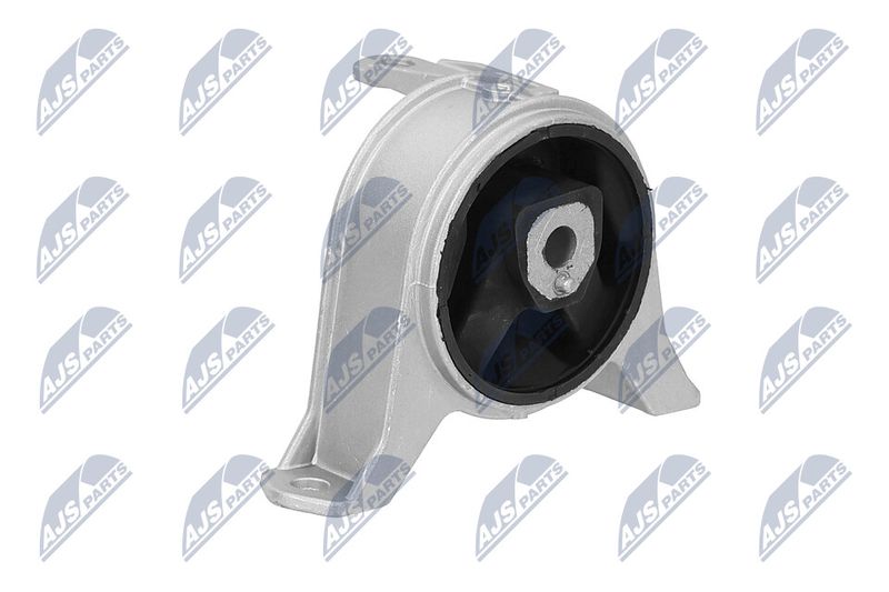 Paigutus, Mootor, NTY ZPS-PL-001