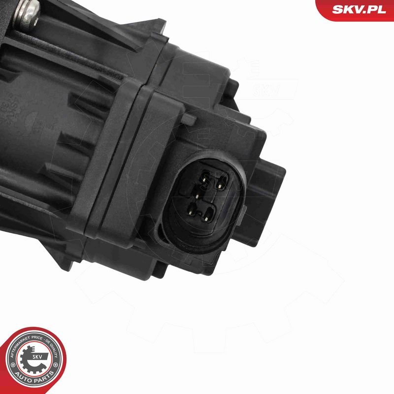 ESEN SKV 14SKV313 EGR Valve