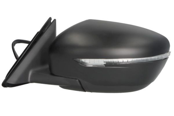 BLIC 5402-16-1036316P Exterior Mirror