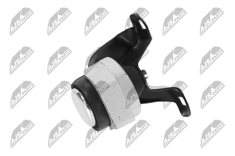 Paigutus, Mootor, NTY ZPS-FR-011