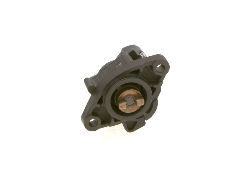 BOSCH 0440020085 Fuel Pump