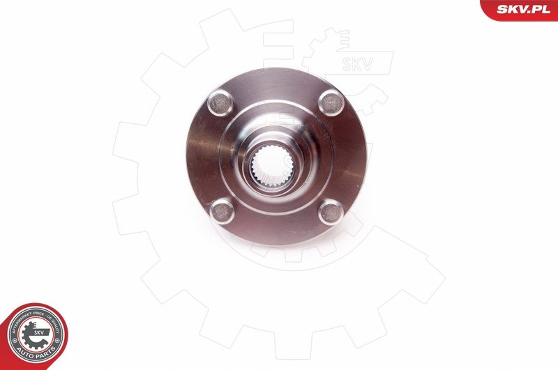 ESEN SKV 29SKV162 Wheel Bearing Kit
