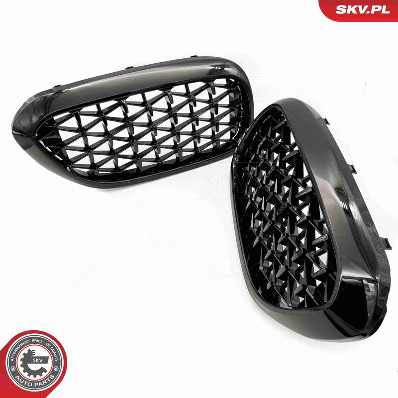 ESEN SKV 66SKV200 Radiator Grille
