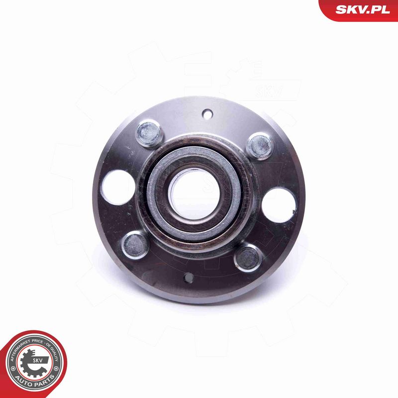 ESEN SKV 29SKV341 Wheel Bearing Kit