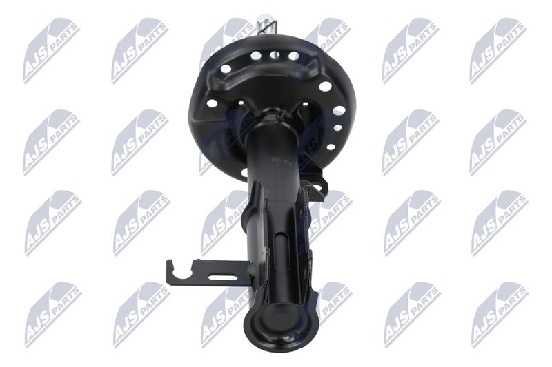 Amort, NTY A-PL-029