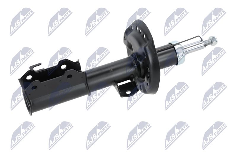 Amort, NTY A-PL-029