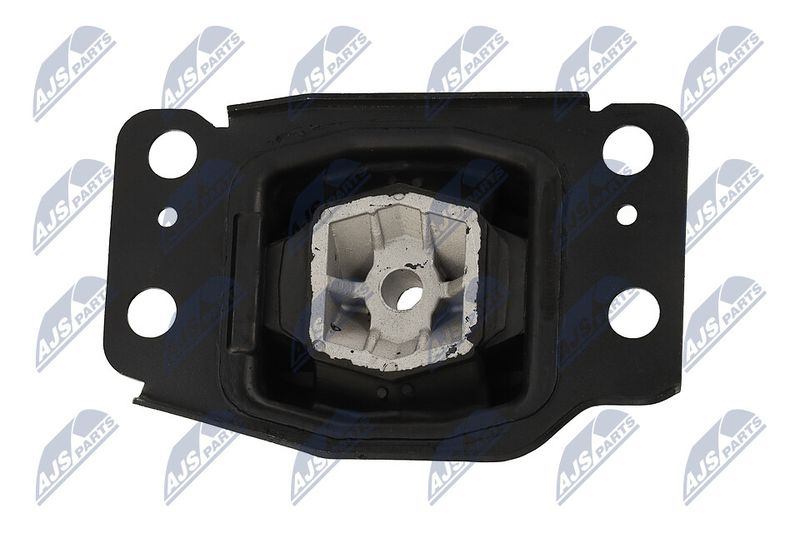 Paigutus, Mootor, NTY ZPS-FR-036