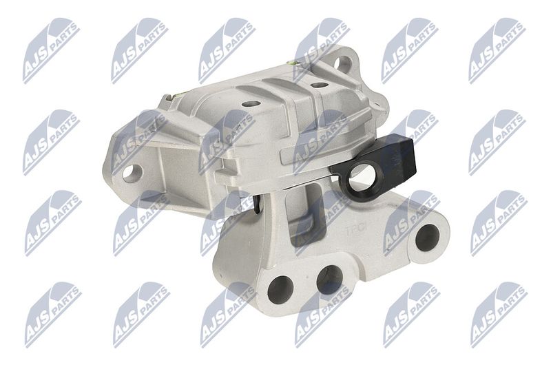 Paigutus, Mootor, NTY ZPS-CH-131